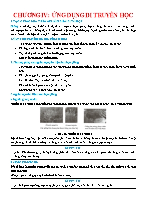 Trắc nghiệm Sinh học 12 - Chương 4 Ứng dụng di truyền học (Có đáp án và lời giải)